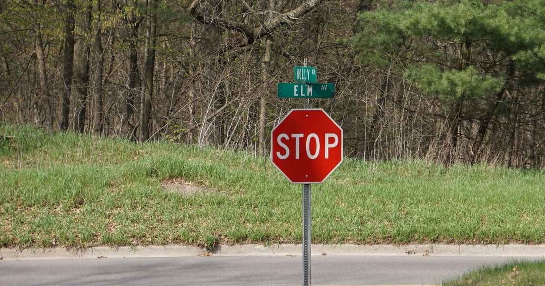 A stop sign and street name signs in a local neighborhood