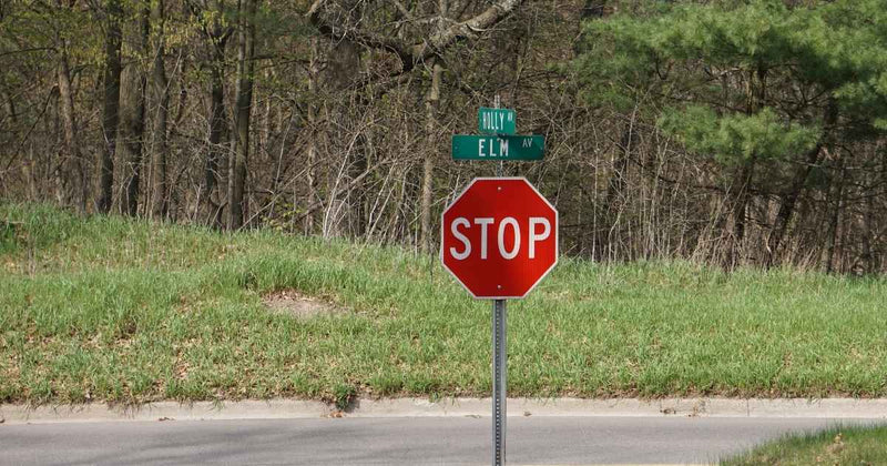 A stop sign and street name signs in a local neighborhood