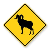 Bighorn Sheep Crossing Sign W11-18 - yellow diamond sign with black bighorn ram pictograph